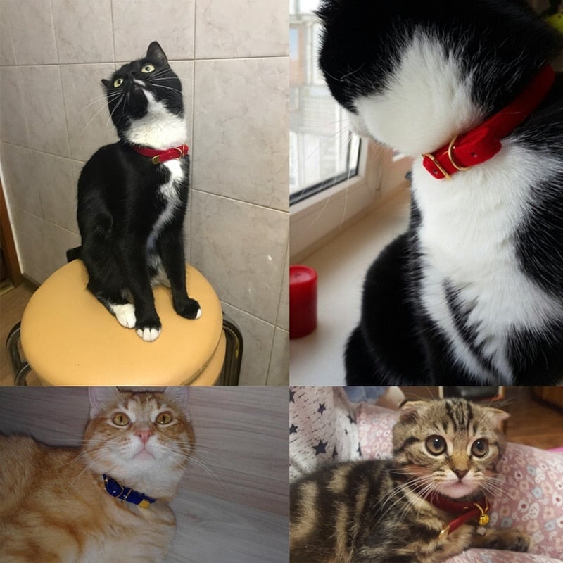PU Leather Small Cat & Dog Collar