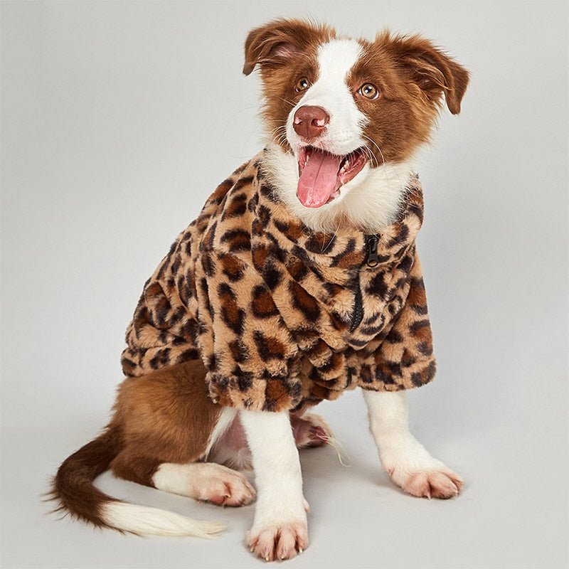 Up Leopard Dog Jacket