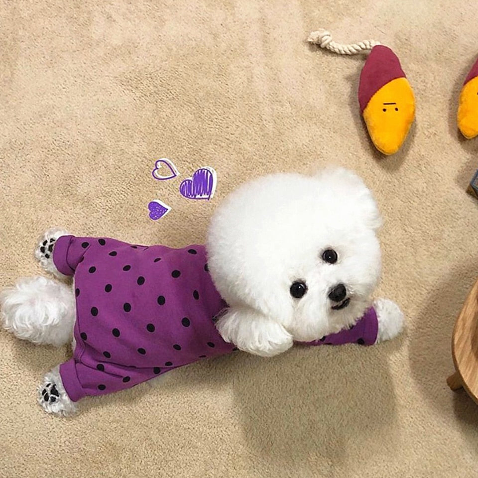 Polka Dot Dog Cat Four-legged Clothes