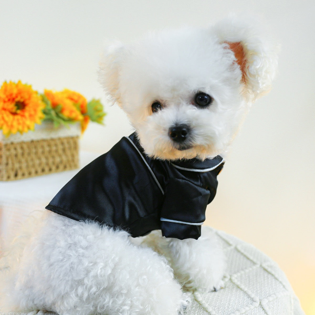 Soft Silk Dog Cat Pajamas