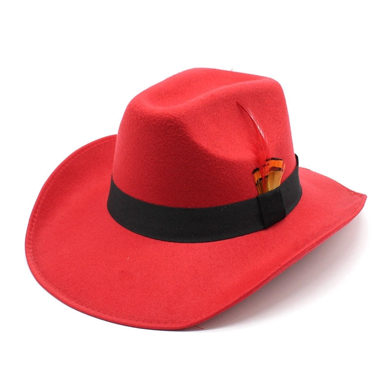 New Feather Hat Autumn And Winter Big Brim Hat Fashion Men's And Women's Cashmere Felt Hat Style Hat