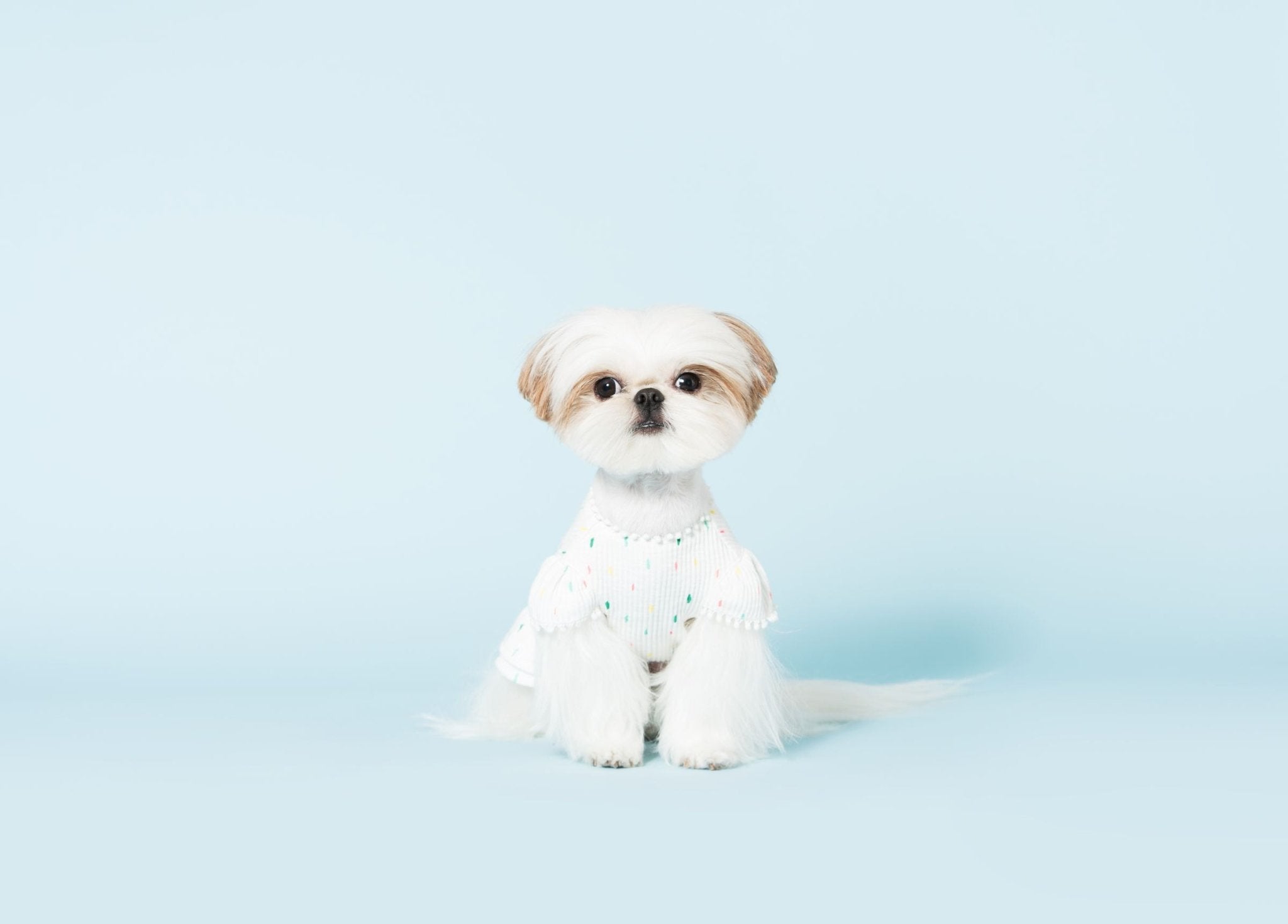 Bohemian Dog Dress