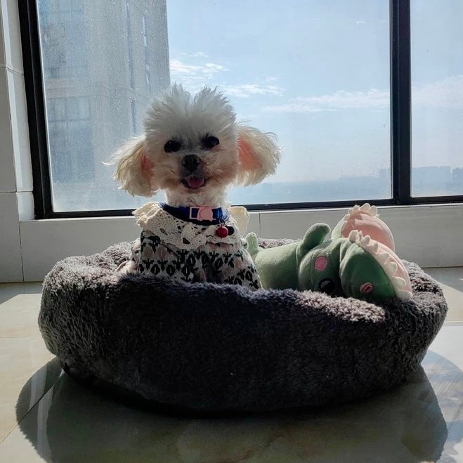 Tulips Printed Buttoned Dog Cat Coat