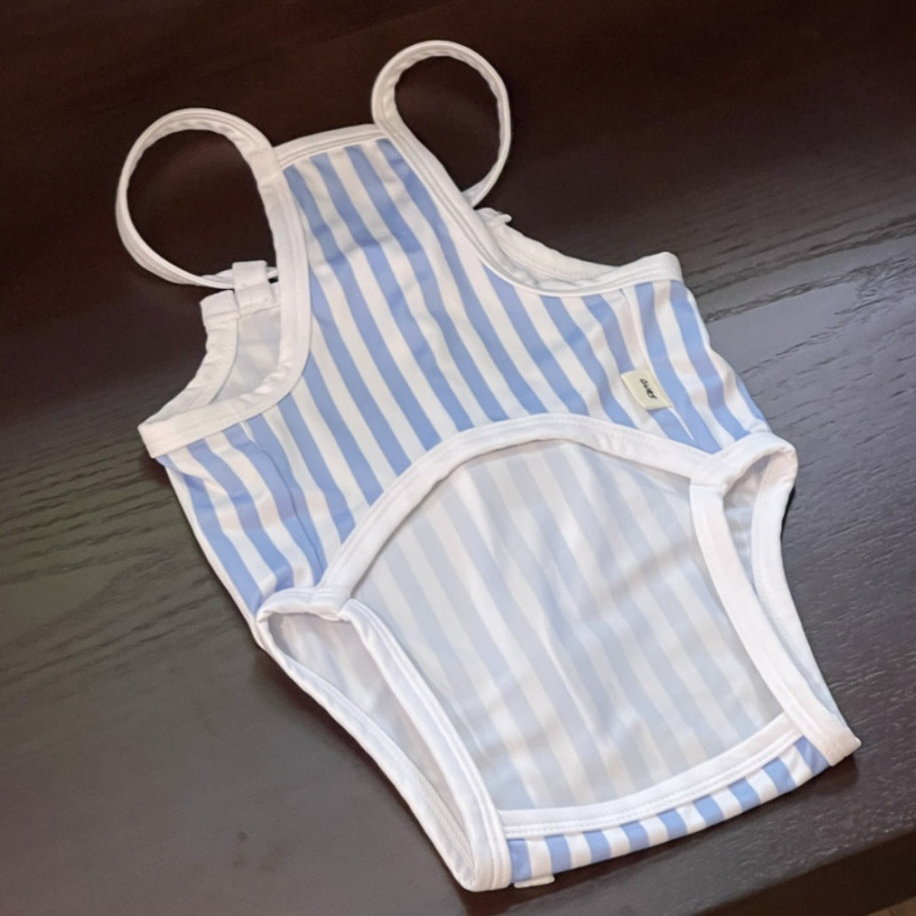 Striped Printed Dog Swimsuit