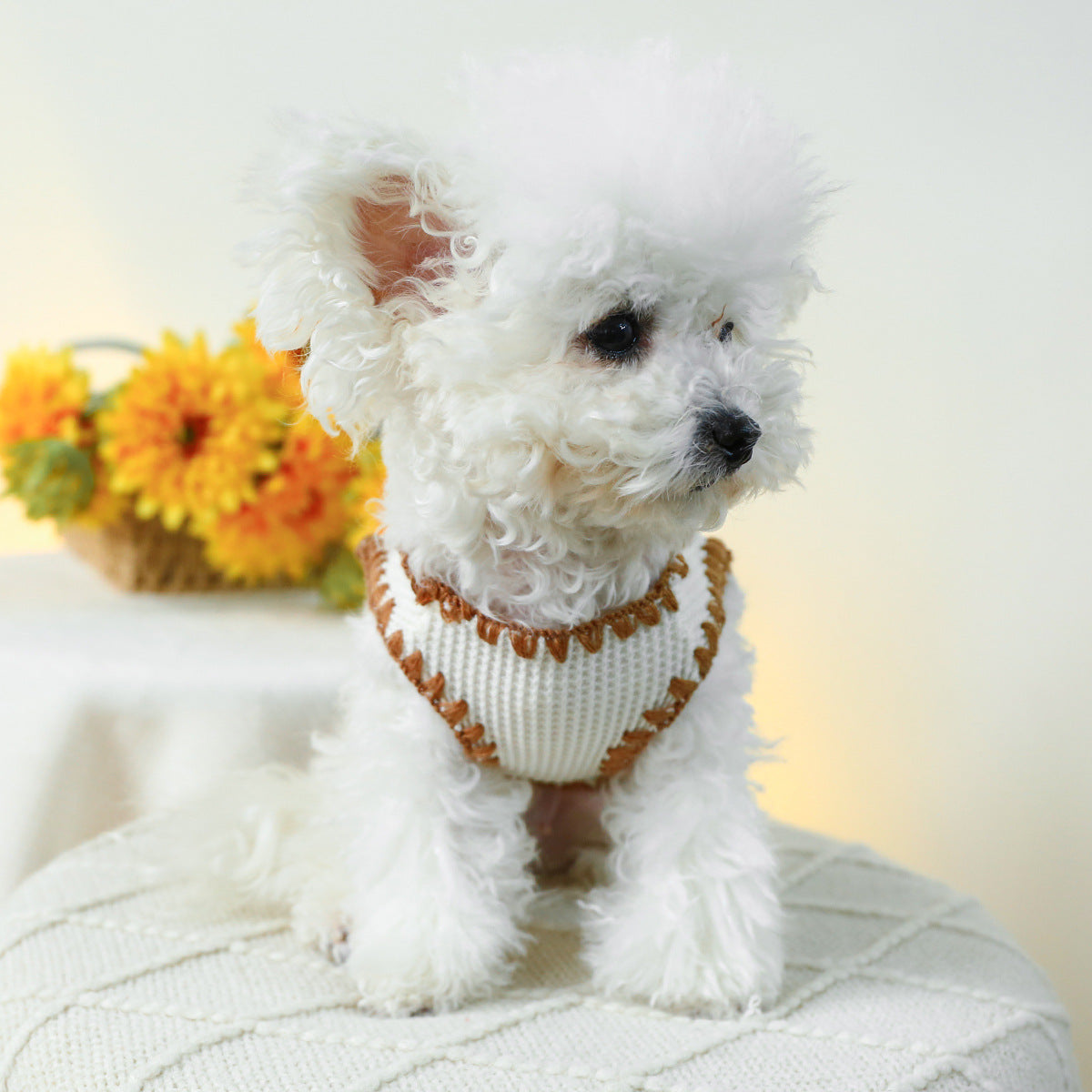 Ice Cream Bear Dog Cat Vest