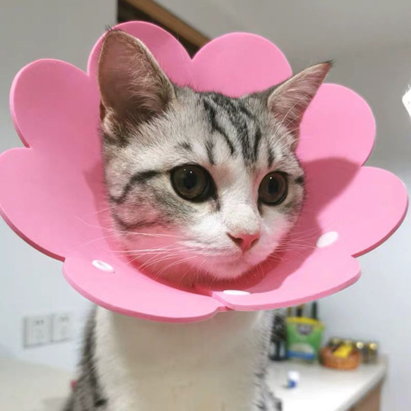 Flower Shaped Cat Neck Recovery Collar