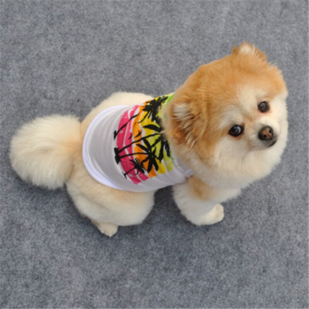 Summer T-shirt For Dog