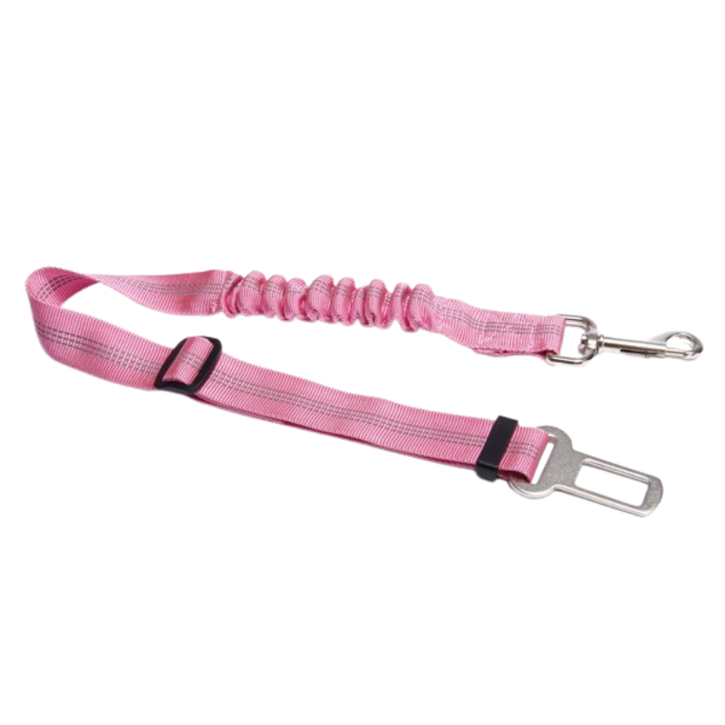 Pet Car Safety Leashes