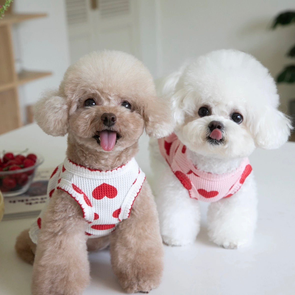 Sweet Heart Cotton Dog Cat Dress
