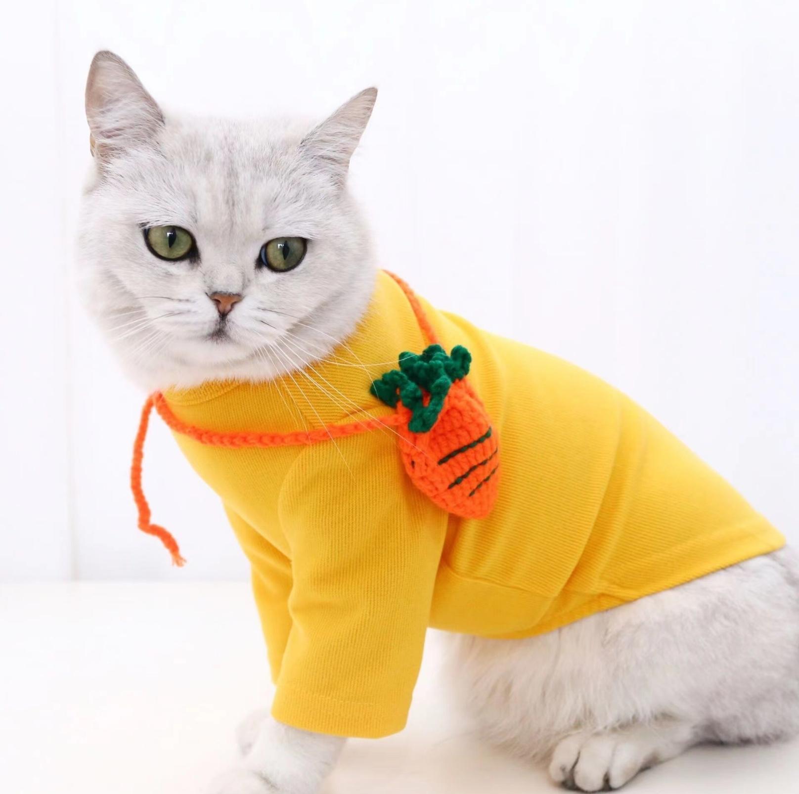 Knitted Cartoon Pet Self-Carrying Pack Style Accessory