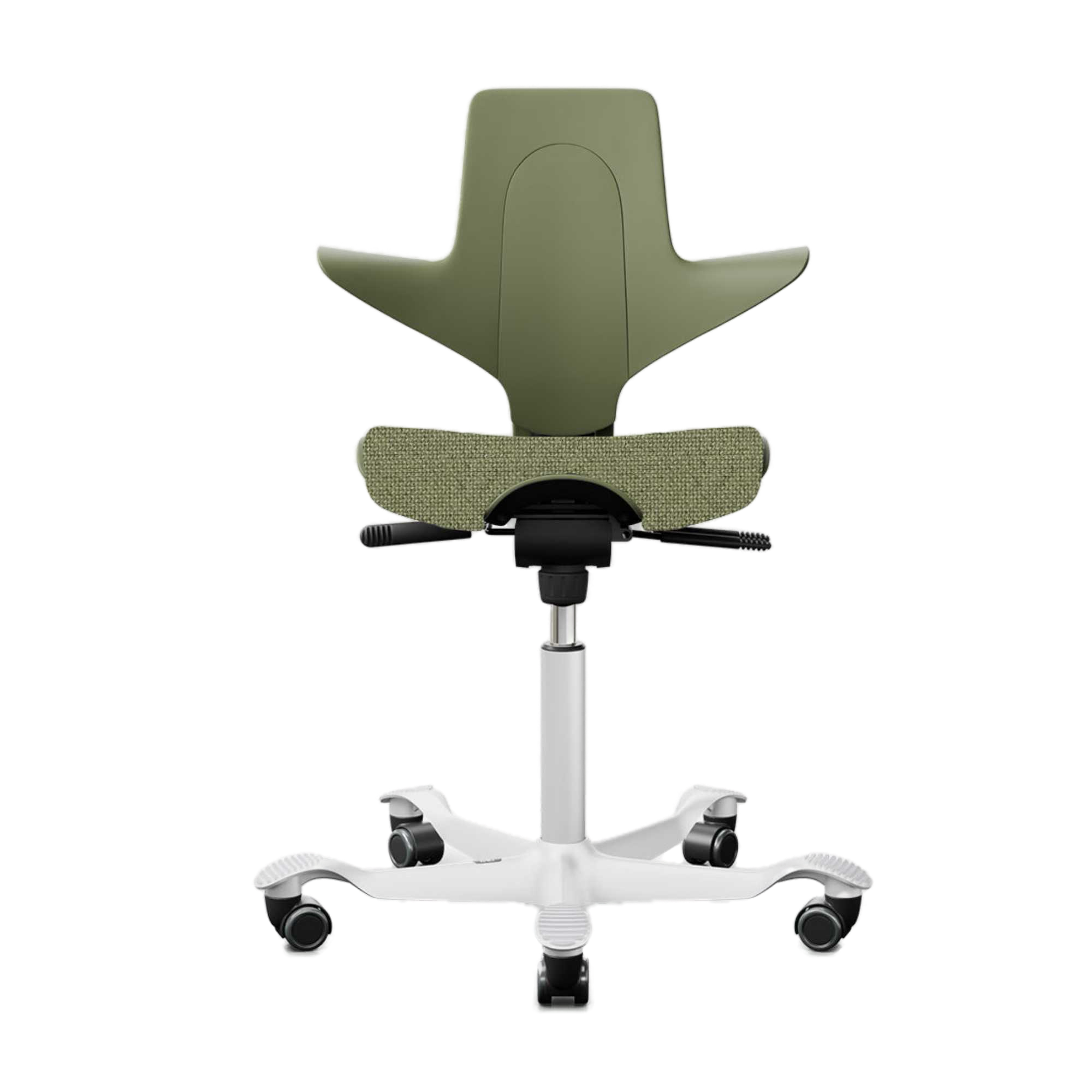 Capisco Puls 8020. cura moss