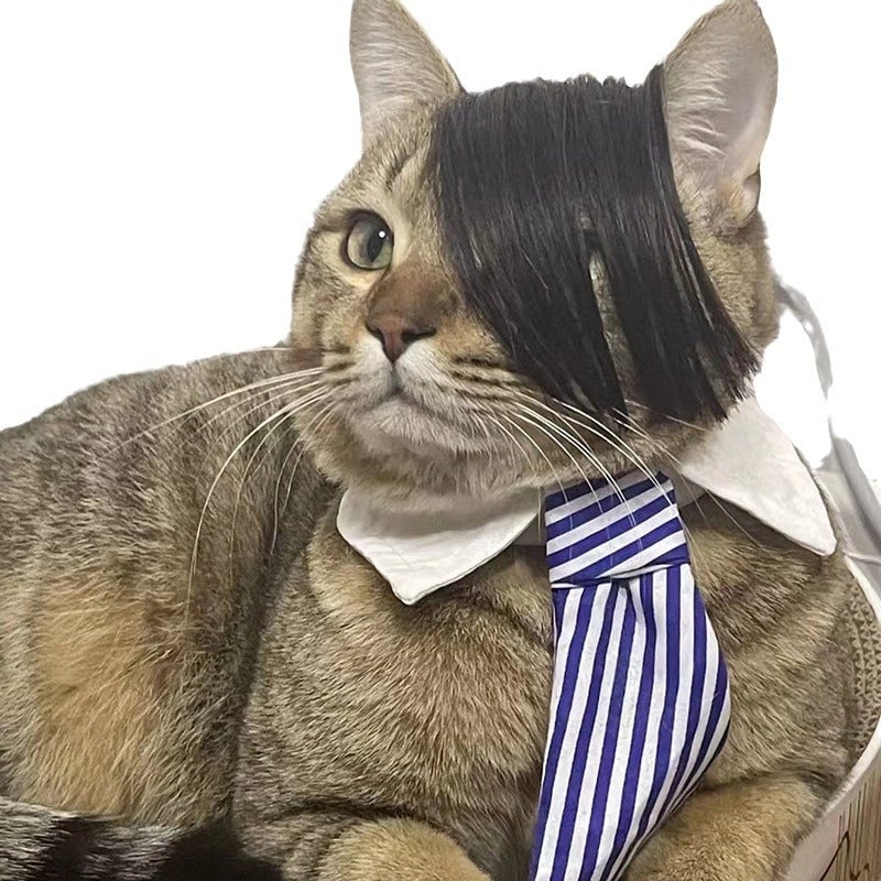 Internet Celebrous Pet Wig Mei Smokie Wig Dog Funny Wig Head Wig