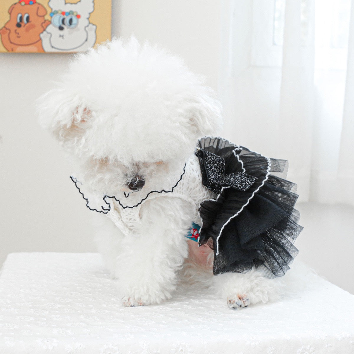 Black White Lace Dog Cat Princess Dress