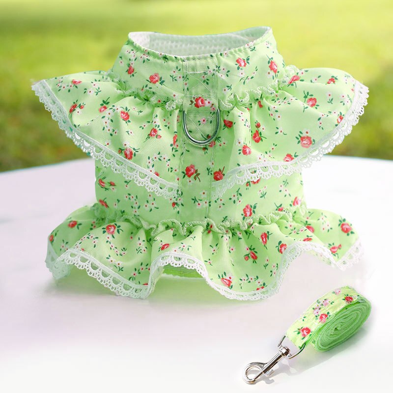 Cute Vest Harness And Leashes
