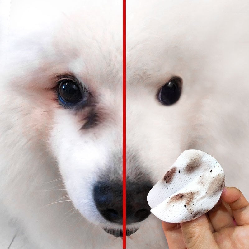 🔥Blowout  Hot Sale 🔥Pet Tear Stain Wipes & A good companion for pets(🔥BUY 3 FREE SHIPPING)