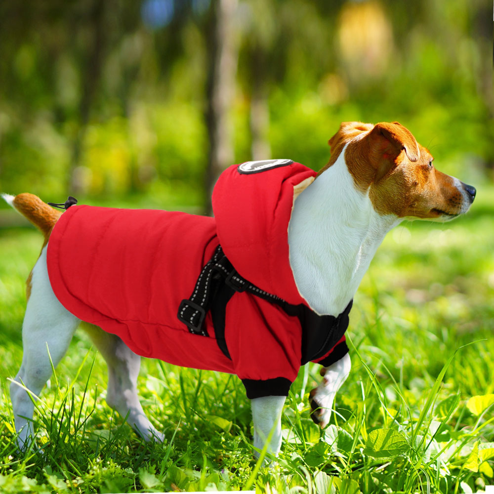 Warm Dog Jacket With Harness