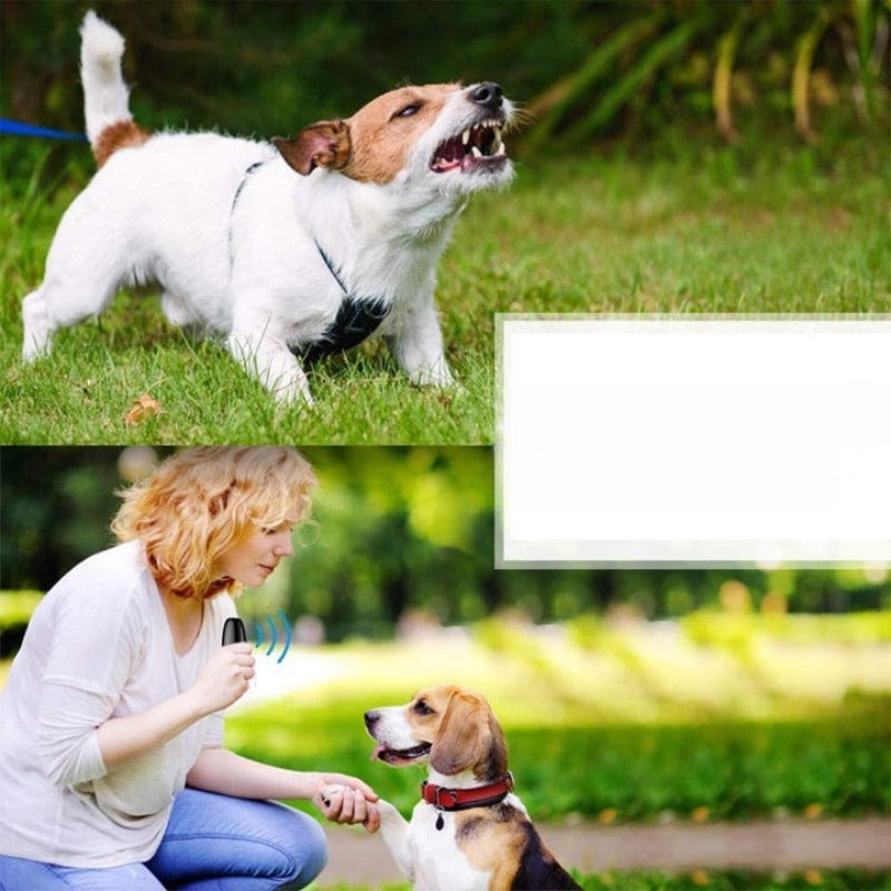 No Dog Noise Device