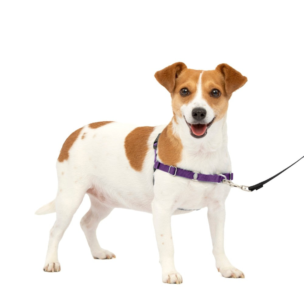 Adjustable No Pull Dog Harness With Training Leash