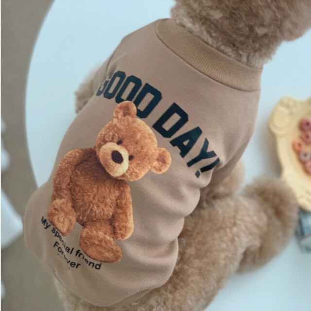 Teddy Printed Dog Cat Hoodie