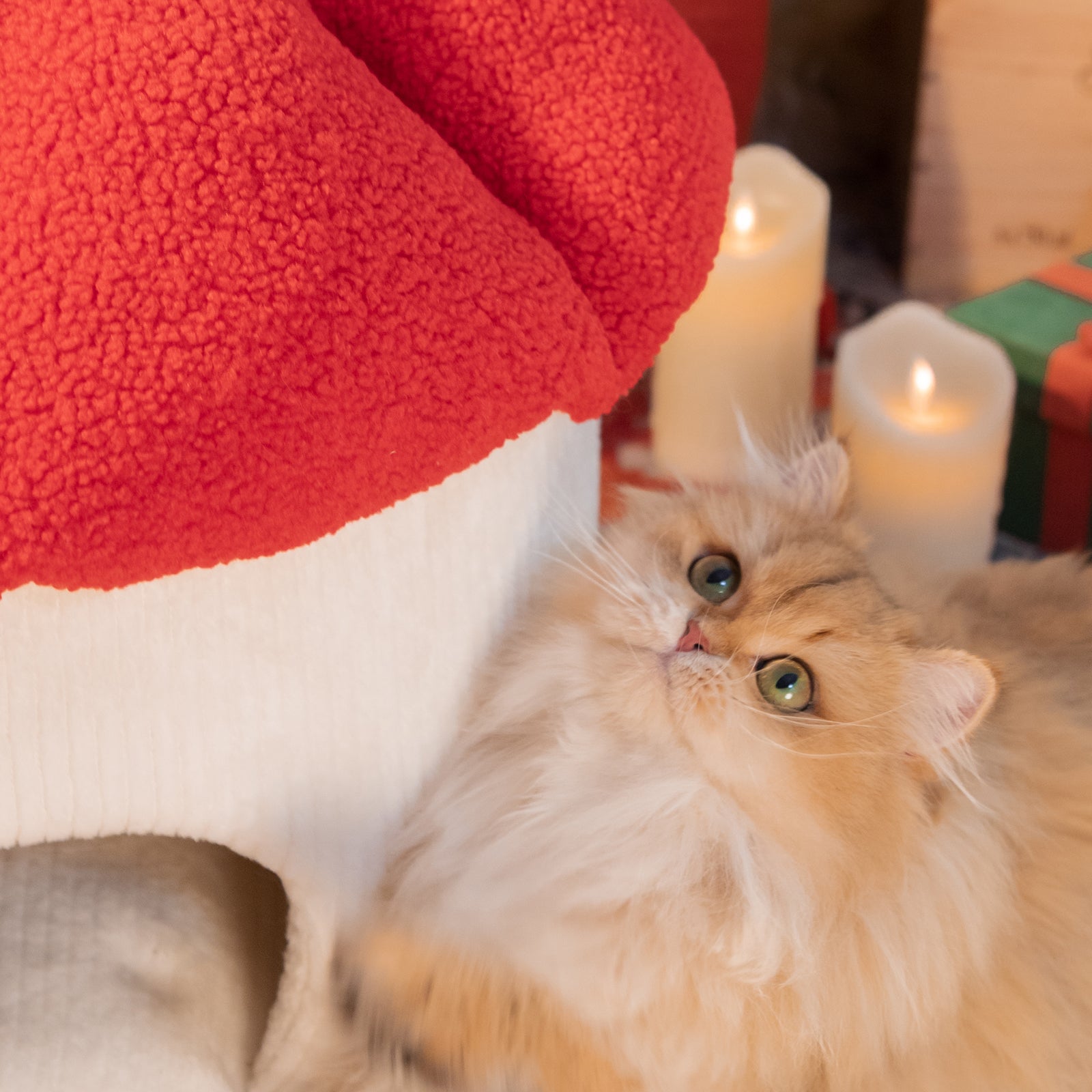 22.8'' Large Mushroom Cat Bed