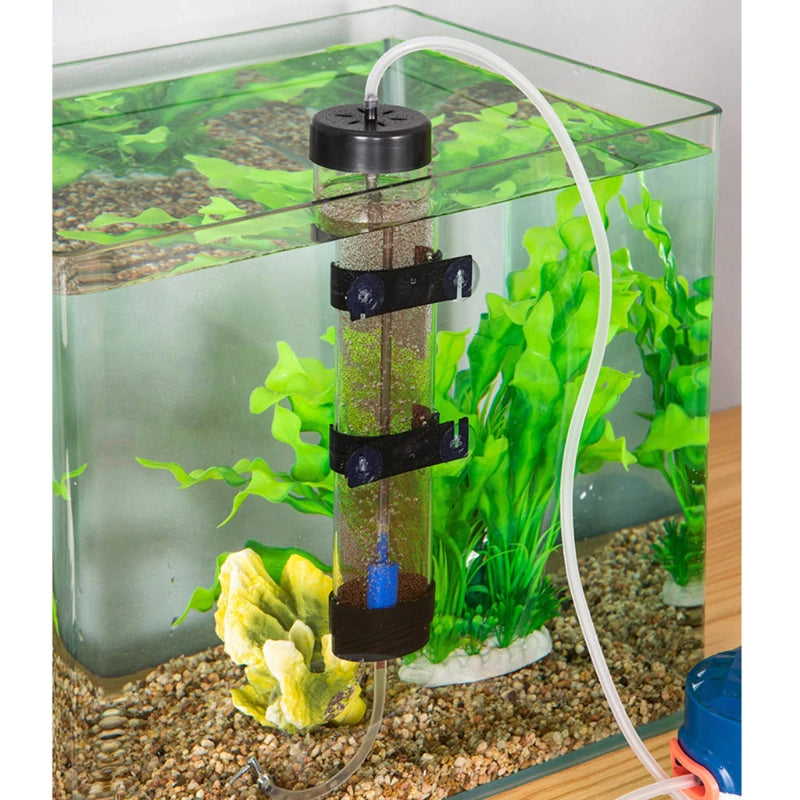 Shrimp Hatchery Aquarium For Fish Tank