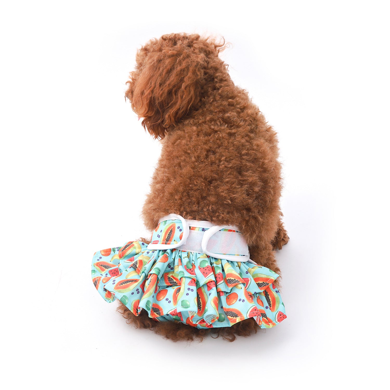 Reusable Printed Dog Cat Diaper Pants