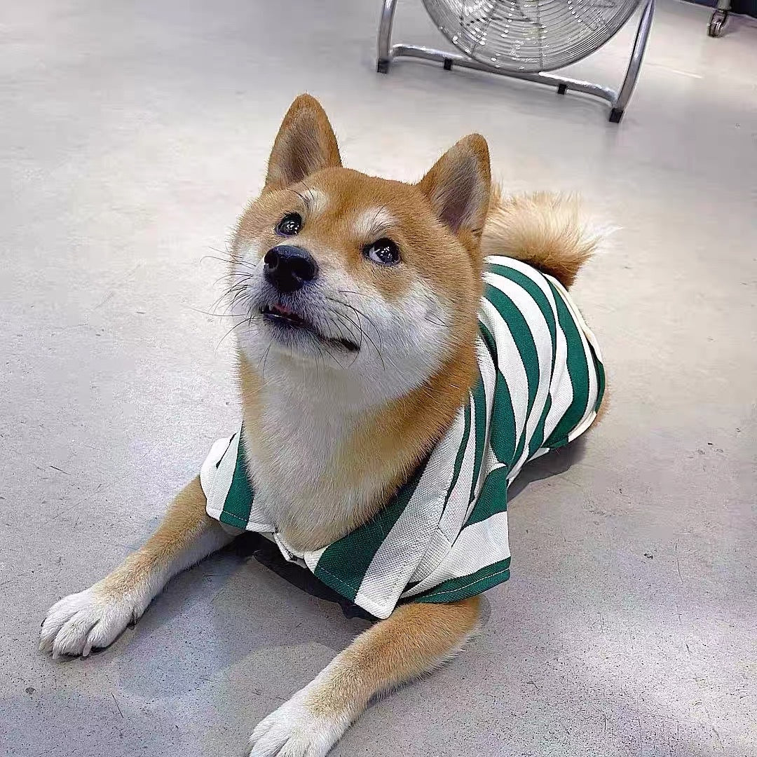 Striped Buttoned Dog Cat Polo Tee