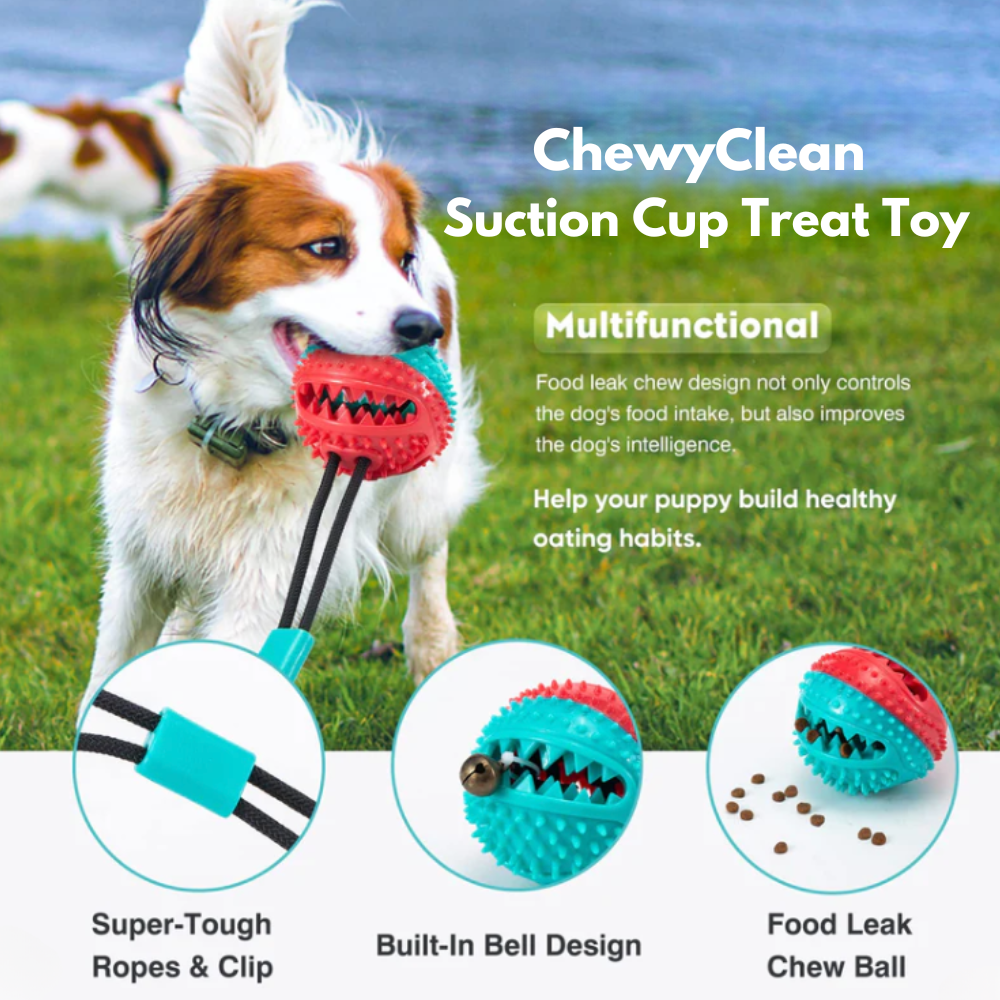 ChewyClean Suction Cup Treat Toy