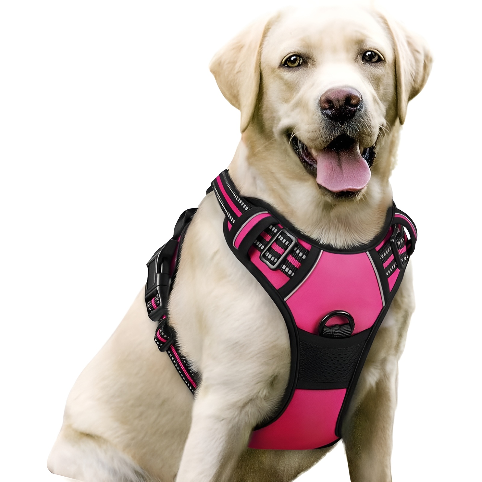 Dog Harness No Pull With 2 Leash Clips