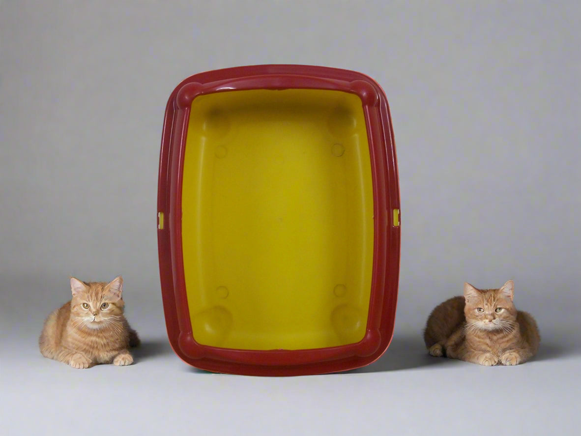 Plastic litter box