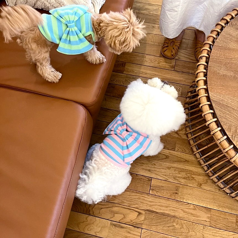 Striped Big Bow Sweet Dog Cat Vest