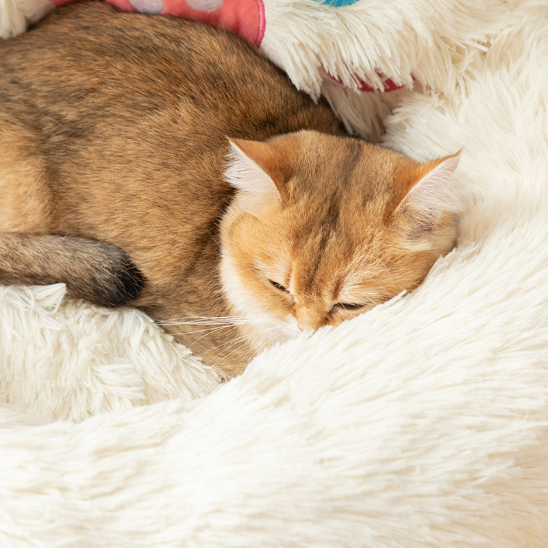 Snow Monster Cat Bed