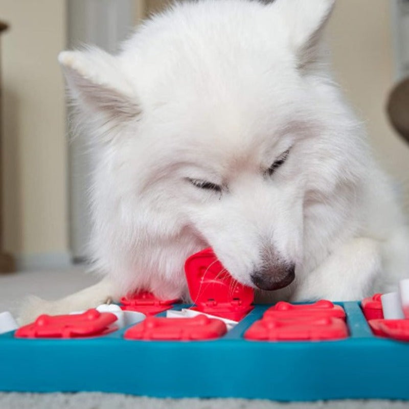 Dog Brick Treat Puzzle