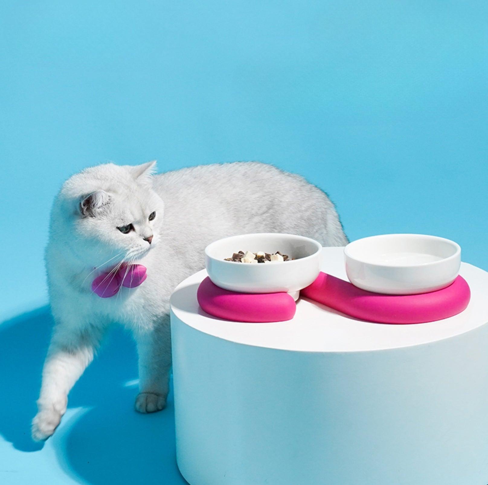 Stylish Ceramic Double Cat Bowls and Dog Bowls With Silicone Base