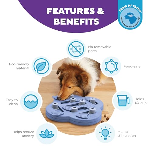 Outward Hound Nina Ottosson Dog Hide N' Slide Dog Puzzle Interactive Treat Puzzle Dog Enrichment Dog Toy. Level 2 Intermediate. Purple. Composite