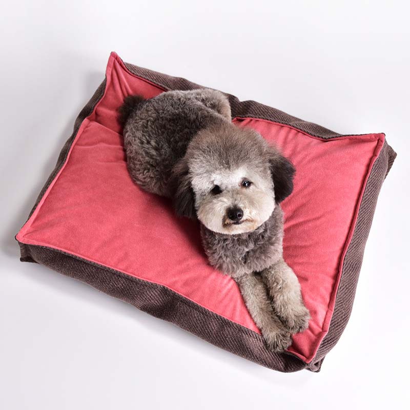 Vintage Clashing Colours Square Dog Bed Sleeping Mat