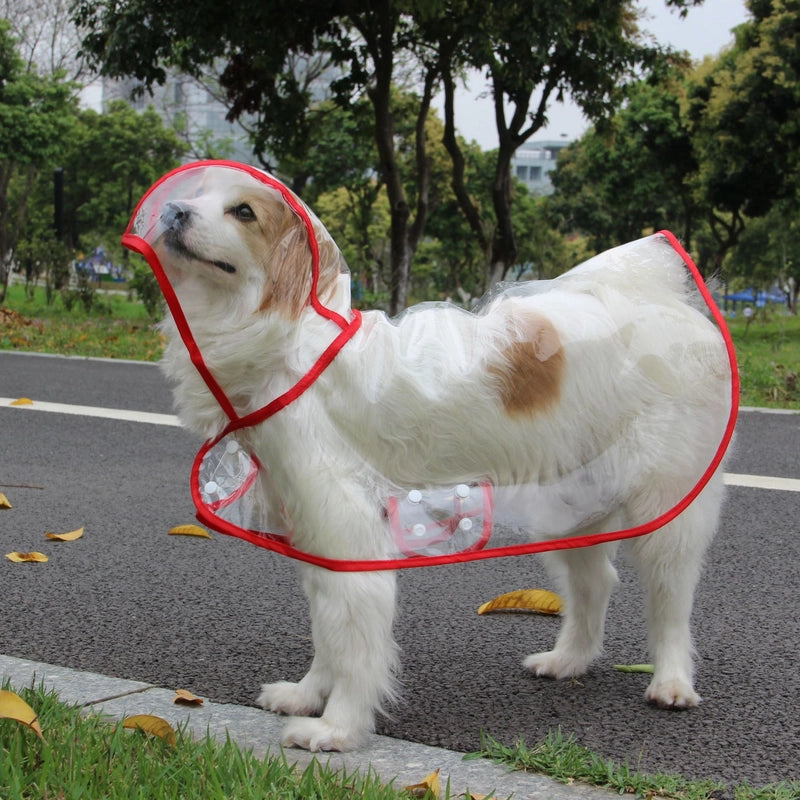 Pet Supplies Dog Raincoat Teddy Small And Medium-sized Dogs New Transparent Plastic Fashion Poncho Pet Raincoat