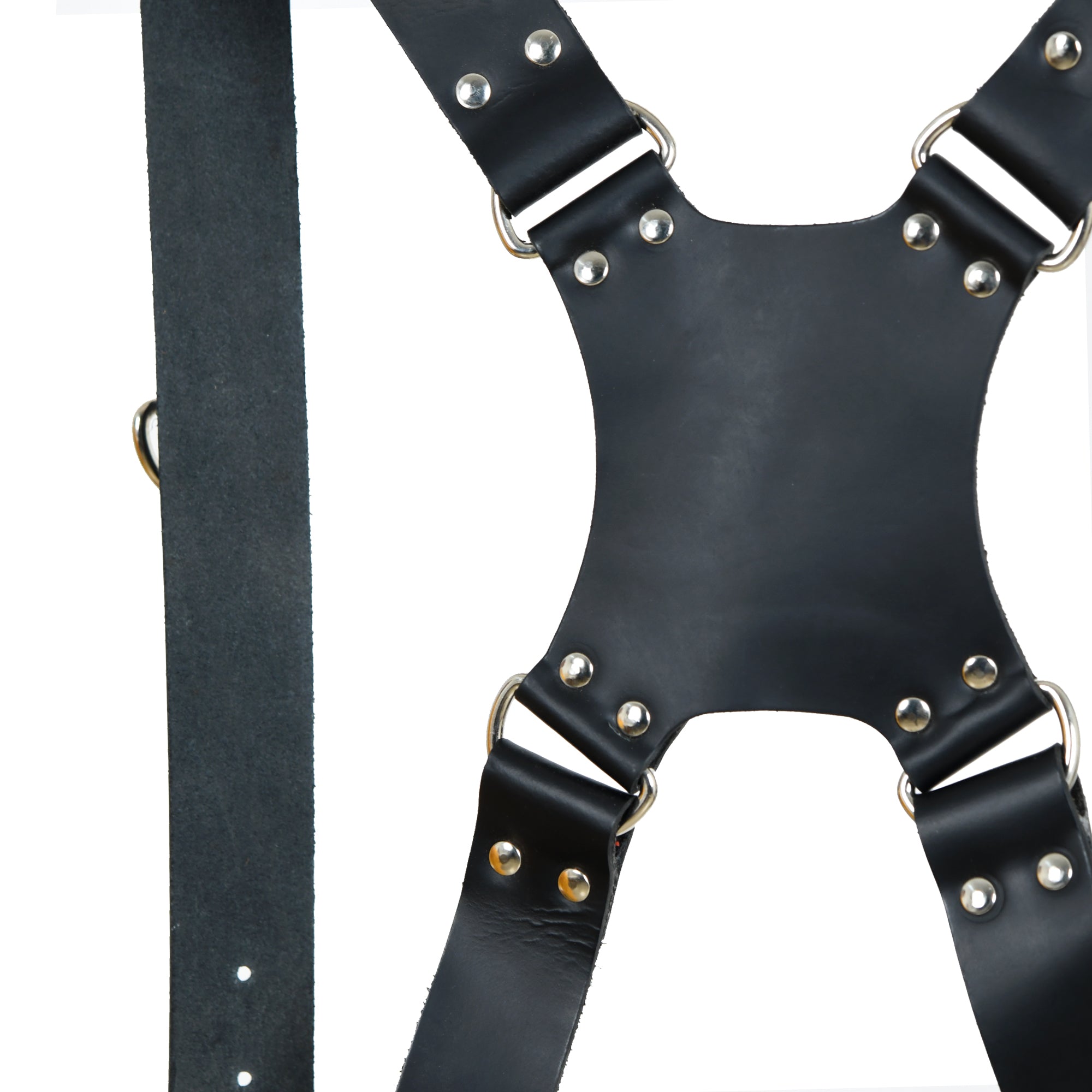Double Camera Strap Harness- Black