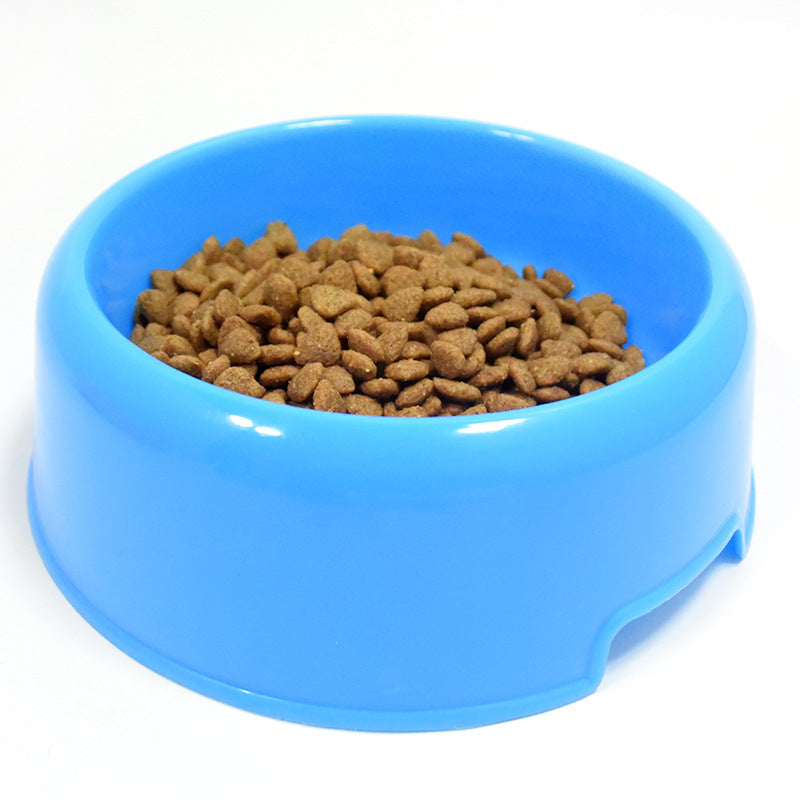 Dog Bowl For Food