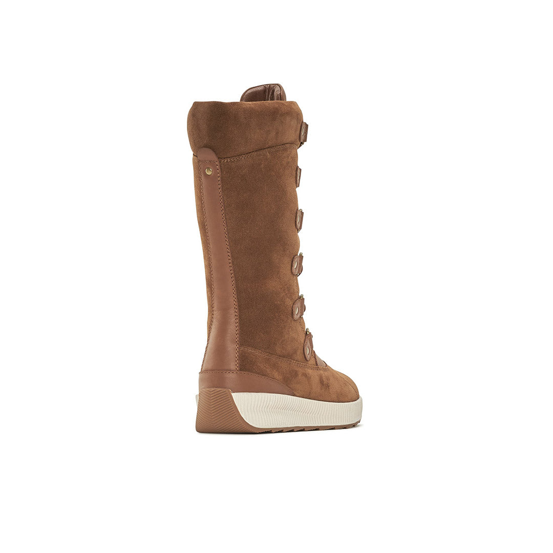 Hivernal Tall