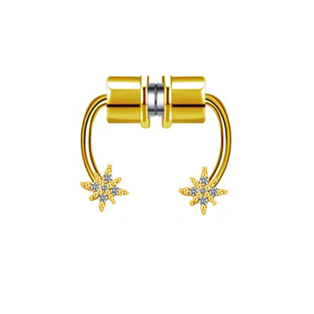 Magnet Septum Ring