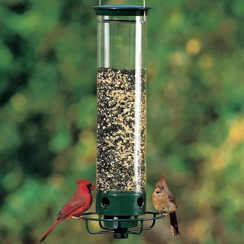 🔥BIG SALE 49% OFF🔥Squirrel-Proof Bird Feeder (🎁BUY 2 EXTRA SAVE 10% OFF & FREE SHIPPING)
