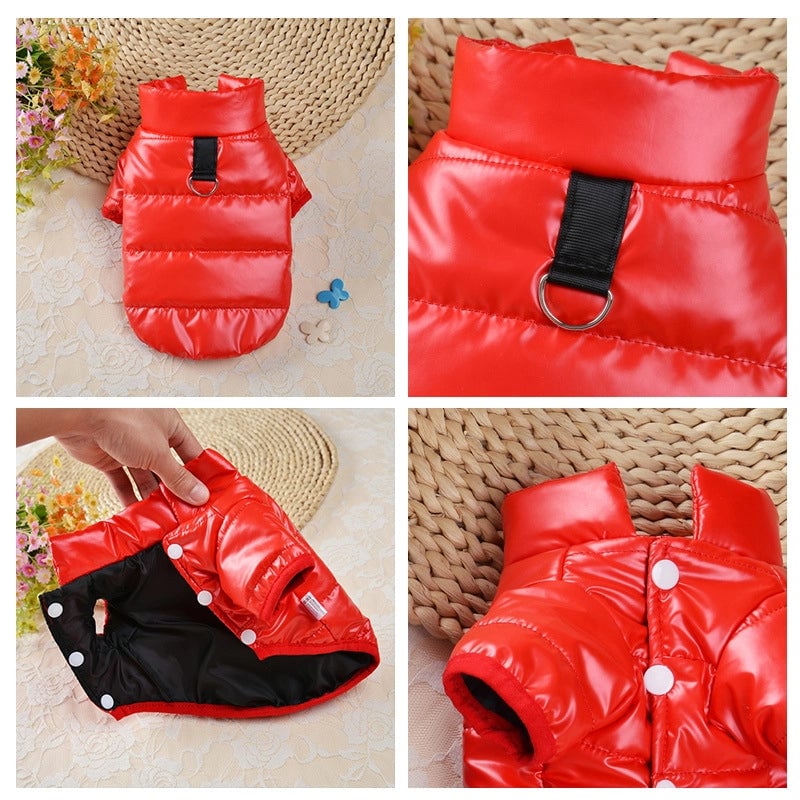 Disposable Cotton-padded Clothes Cat Autumn And Winter Dog Clothes Winter Clothes Small Dog Pet Cotton-padded Jacket New Cotton-padded Clothes Winter Warm