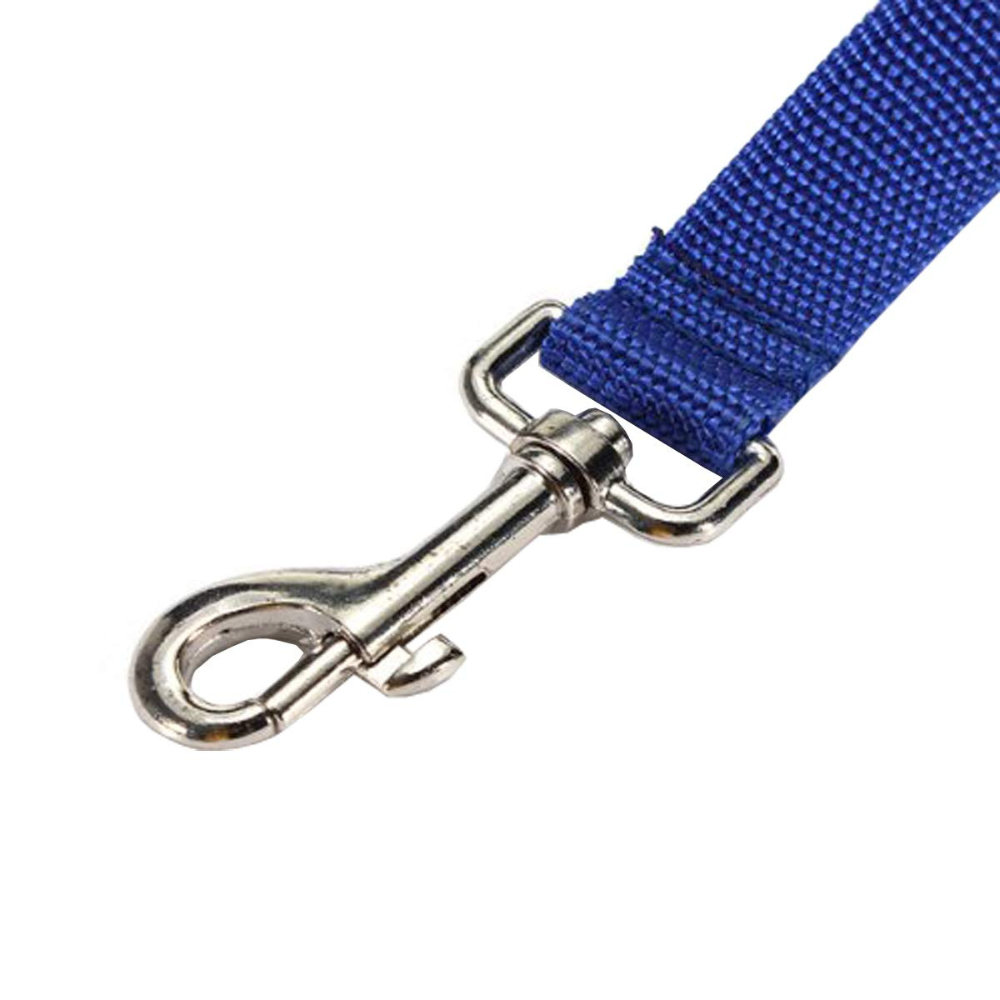 Large Dog Leash