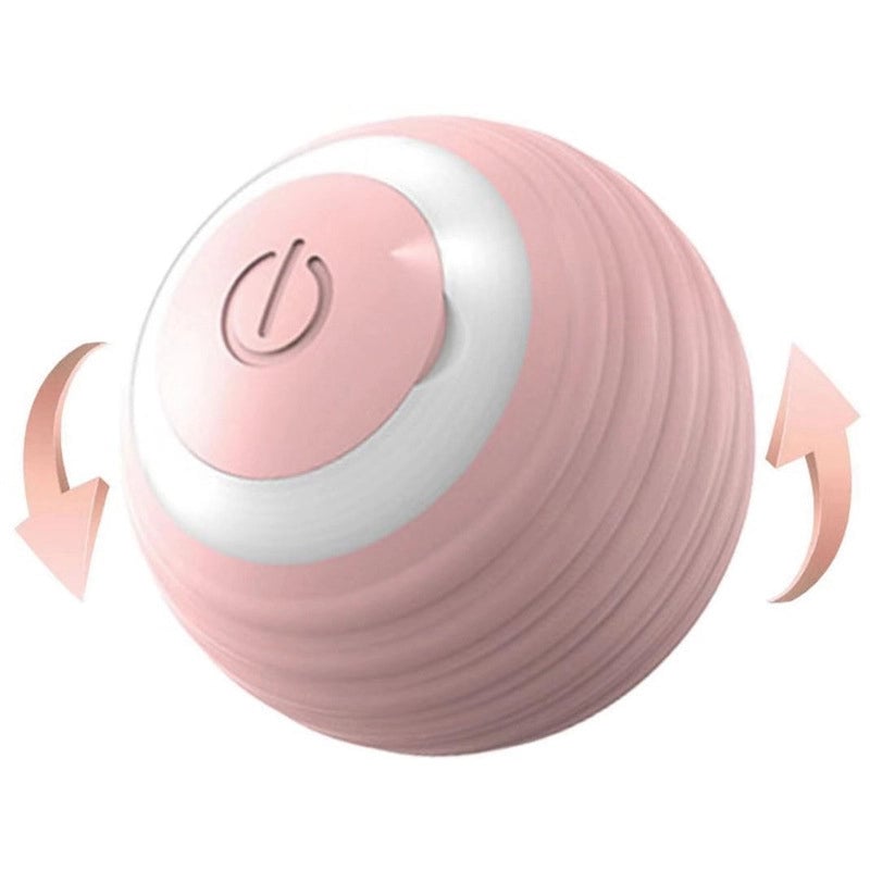 Minimalist Silica Gel Solid Color Pet Toys
