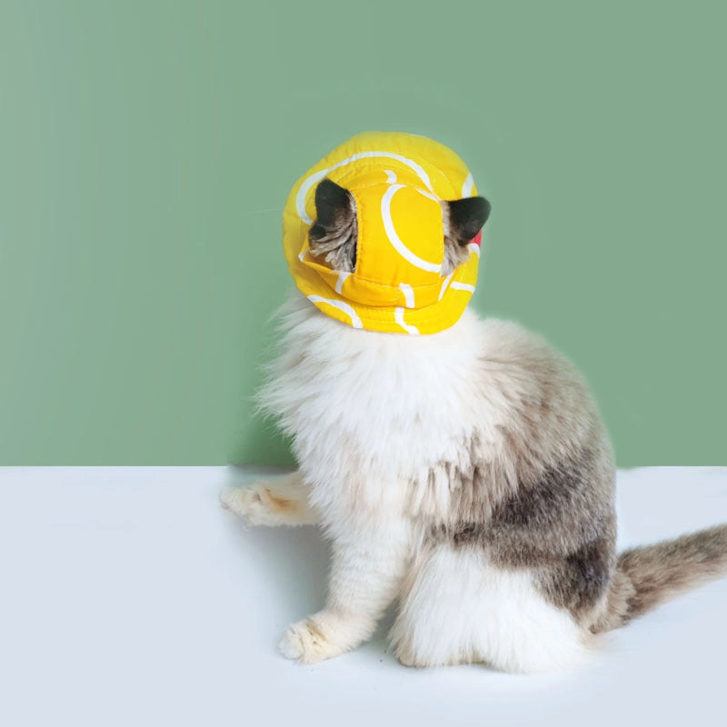 High-grade Quality Pet Fisherman Hat Cat Dog Hat Out Sun Hat Summer Cat Head Cover Sunscreen Sun Hat
