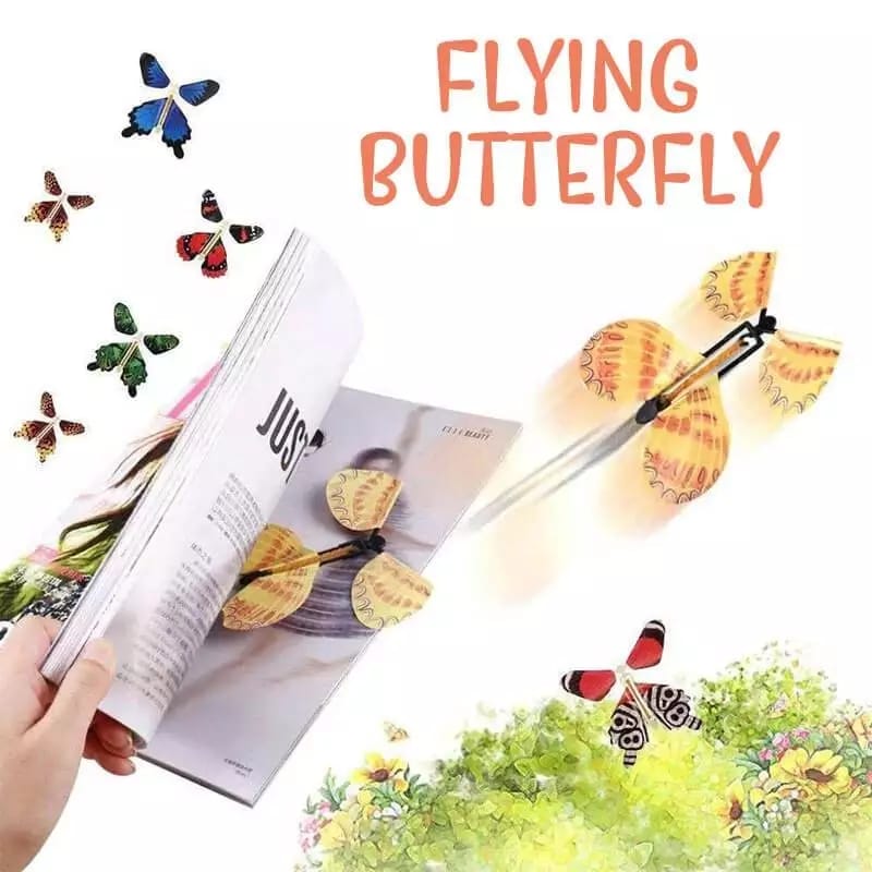 Flying Butterfly - Pack of 2