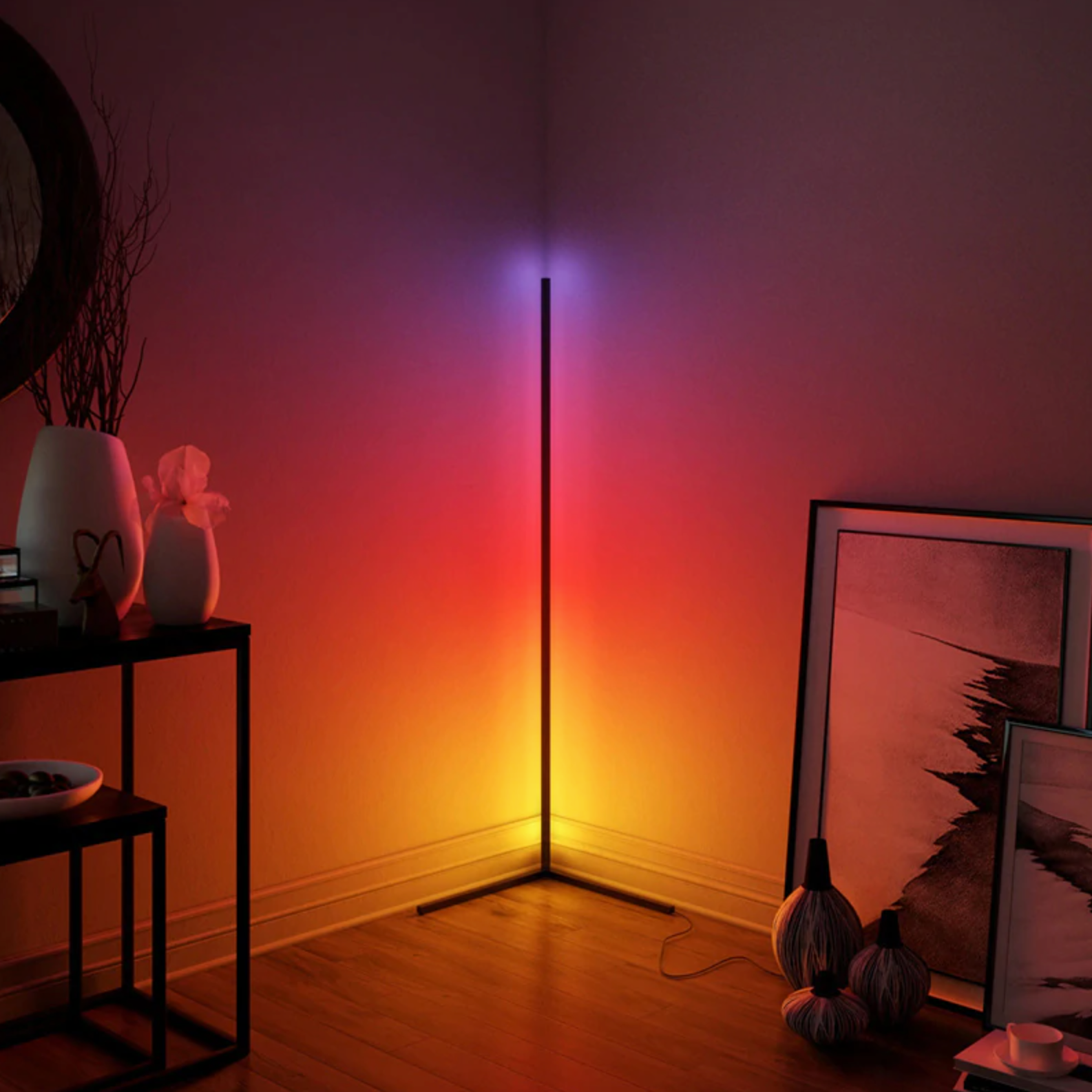 Light LED Floor Lamp