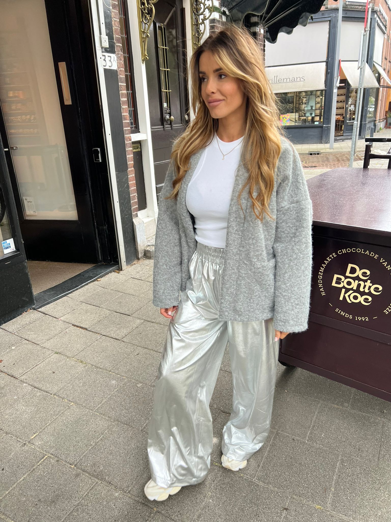 Britt Pants Silver