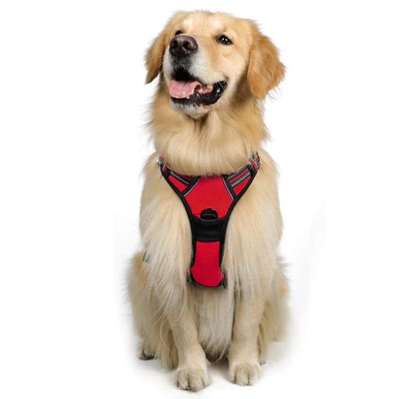 Minimalist Nylon Color Block Leash